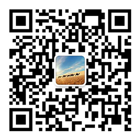 Add My WeChat